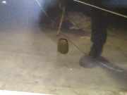 Waschwasserdüse Scheibenreinigung Mazda 5, CR 2005.02 - 2010.09 Gebraucht,