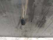 Waschwasserdüse Scheibenreinigung Ford C-MAX, 2003.01 - 2007.06 Gebraucht,
