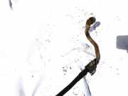 Stabilisator Vorne Audi A2, 2000.02 - 2005.08 Gebraucht,