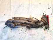 Tankeinfüllstutzen Tankrohr Kraftstoffrohr Peugeot 406, 1995.11 - 1999.03 9621846880,9621846980