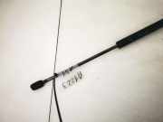 Gasfeder für Motorhaube Opel Omega, B 1999.09 - 2003.07 facelift 09146281,