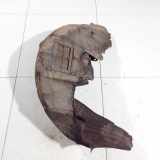 Radhausschale - Hinten Rechts Lexus IS, II 2005.10 - 2013.03 Gebraucht,