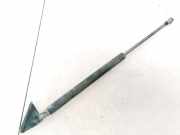 Gasdruckfeder Kofferraum Toyota Yaris, II (XP90) 2005.01 - 2011.01 689500D020,68950-0D020