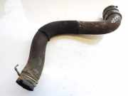 Kühlerschlauch Opel Insignia A, 2008.01 - 2013.01 0541210,
