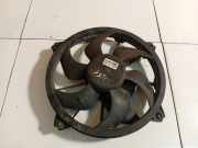 Kühlerlüfter Lüftermotor Citroen C5, II 2008.02 - 2011.01 Gebraucht,