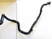 K?hlmittelrohrleitung Tesla Model Y, 2020 --> 1077595-00-e,1077595-00-e