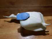 Scheibenwaschbehälter Vorne Wischwasserbehälter Seat Inca, 1995.11 - 2003.06 Gebraucht ,