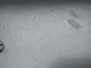 Kotfl?gel - Vorne Rechts Lancia Phedra 2002 - 2006 PILKAS,