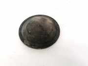 Blende Scheinwerfer - Vorne Renault Espace, IV 2002.11 - 2014.12 15566500, 155665-00