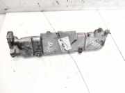 Ansaugkrümmer Kia Carens, 2006.09 - 2013.03 Gebraucht ,