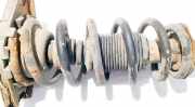 Fahrwerksfeder Hinterachse Nissan Primera, P12 2002.01 - 2008.12 Gebraucht,