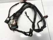 Kabelbaum Opel Zafira, B 2005.07 - 2008.01 13130907, 13119168 13178656