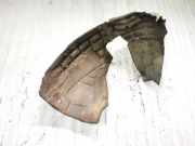 Radhausschale - Vorne Rechts Audi Q3, 2011.06 --> Gebraucht ,