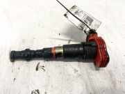 Zündspule Audi A8, D3 2002.09 - 2005.6 Gebraucht ,