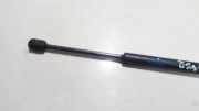 Gasdruckfeder Kofferraum Lancia Musa 2004 - 2012 51705073UM,
