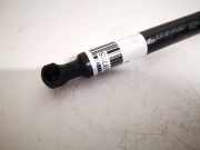 Gasdruckfeder Kofferraum Citroen C5, II 2008.02 - 2011.01 9660369880,