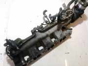 Ansaugkrümmer Nissan X-Trail, 2001.06 - 2007.06 nl0789,