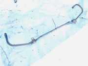 Stabilisator Vorne Mazda Premacy, 1999.01 - 2005.03 Gebraucht,