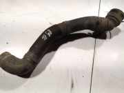 K?hlerschlauch Skoda Roomster, I 2006.01 - 2010.05 Gebraucht,