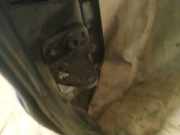 T?rscharnier Vorne Skoda Superb, I 2001.12 - 2008.03 Gebraucht,