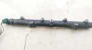 Kraftstoffverteiler Land-Rover Freelander, 1998.02 - 2006.10 0445214011,