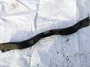 Schlo?tr?ger Chrysler Voyager, IV 2000.02 - 2008.12 Gebraucht,