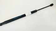 Gasdruckfeder Kofferraum Hyundai Santa Fe, 2000.11 - 2006.03 8116126021,