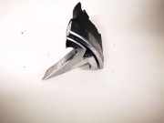 Emblem Tesla Model S, I 2016.06 - 2021 facelift 105368600f,1053686-00-f
