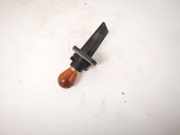 Glühbirnenfassung Blinker Renault Scenic, II 2003.06 - 2006.06 Gebraucht,