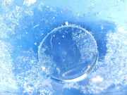 Abdeckung Abschlepphaken - Hinten Opel Vectra, C 2002.04 - 2005.10 Gebraucht,