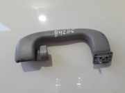 Haltegriff Haltegriff Verdeckgriff - Hinten Linke Opel Vectra, C 2002.04 - 2005.10 317382836,5001700002