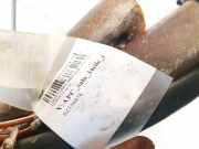 Anhängerkupplung Opel Zafira, B 2005.07 - 2008.01 Gebraucht,