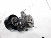 Spannrolle Opel Insignia A, 2008.01 - 2013.01 Gebraucht,