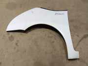 Kotflügel - Vorne Linke Citroen C4 Grand Picasso, I 2006.01 - 2013.06 Gebraucht,