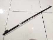 Zierleiste Leiste - Vorne Linke Citroen C4 Picasso, I 2006.01 - 2013.06 Gebraucht,
