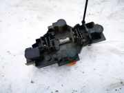 Lampenträger Heckleuchte - Hinten Renault Scenic, I 1999.09 - 2003.06 facelift 2341d,