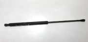 Gasdruckfeder Kofferraum Toyota Prius, 2003.06 - 2009.01 689600w430,68960-0w430