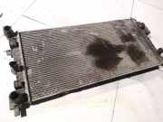 Wasserk?hler Seat Ibiza, IV 2008.03 - 2012.06 60121253,