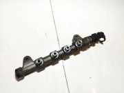 Kraftstoffverteiler Opel Insignia A, 2013.01 - 2017.06 facelift 0445214221,55576177