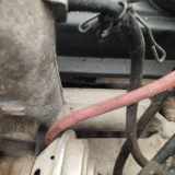 Ansaugkrümmer Volkswagen Golf, III 1993.07 - 1999.04 Gebraucht,