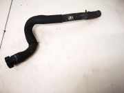Kühlerschlauch Citroen Berlingo, II 2008.04 - 2018 Gebraucht,