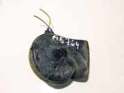 Hupe Audi A4, B5 1994.11 - 1999.09 009101,