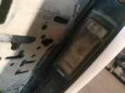 Kennzeichenleuchte Renault Laguna, II 2001.03 - 2006.05 Gebraucht,