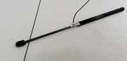 Gasdruckfeder Kofferraum Fiat Stilo, 2001.10 - 2007.01 8357NO0250N, 46784590