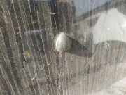 Waschwasserdüse Scheibenreinigung Renault Scenic, I 1999.09 - 2003.06 facelift Gebraucht,