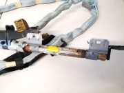 Kopfairbag - Vorne Rechts Toyota Prius, 2003.06 - 2009.01 Gebraucht,