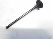 Auslassventil Renault Vel Satis, 2002.06 - 2009.12 Gebraucht,