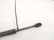 Gasfeder für Motorhaube Skoda Superb, I 2001.12 - 2008.03 3B5827550G, 0297SO0520N