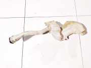 Scheibenwaschbehälter Vorne Wischwasserbehälter Peugeot 3008, I 2008.01 - 2016.06 9685005580, 40244085