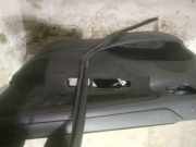 Türverkleidung - Vorne Rechts Peugeot 207, 2006.02 - 2009.06 Gebraucht,